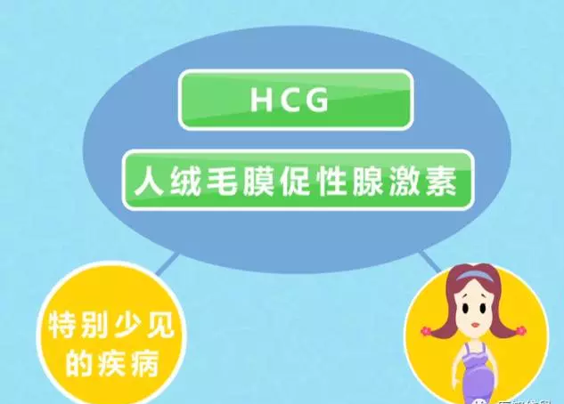 怀孕多久能测出来?孕周到底怎么算?快来学习下吧~~