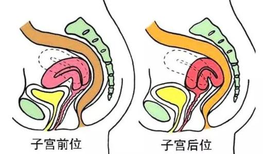 子宫内膜增厚会影响女性怀孕吗